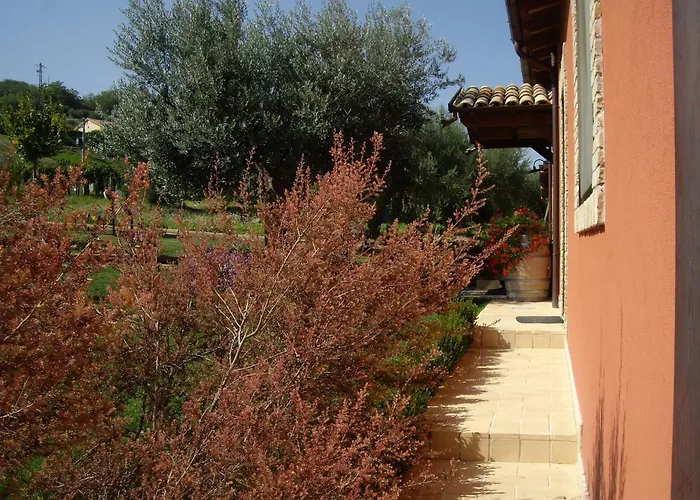 Il Borgo Degli Ulivi